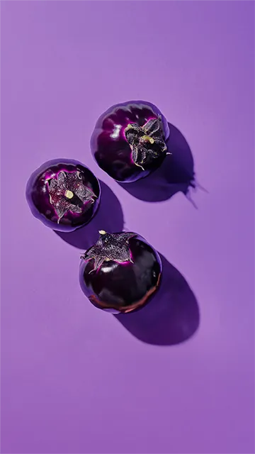 Aubergine Pallada assortiment 3
